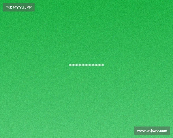 法甲球探体系解析：构建顶级足球人才发掘与培养模式